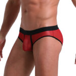 REF: WJ-1913-SJ Brief - Image 5