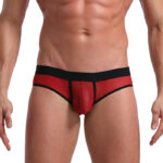 REF: WJ-1913-SJ Brief - Image 4
