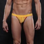 REF: WJ-4003-WD Thong - Image 2