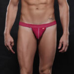 REF: WJ-4003-WD Thong - Image 9
