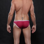 REF: WJ-4003-SJ SEXY BIKINI BRIEFS with FASTENERS - Image 14