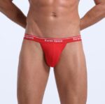 REF: WJ-1908-DK Thong - Image 2