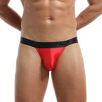 REF: WJ-1918-GX Brief - Image 4