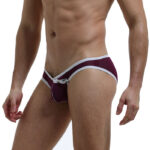 REF: WJ-4003-SJ SEXY BIKINI BRIEFS with FASTENERS - Image 3