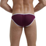 REF: WJ-4003-SJ SEXY BIKINI BRIEFS with FASTENERS - Image 4