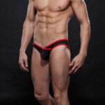 REF: WJ-4003-SJ SEXY BIKINI BRIEFS with FASTENERS - Image 11