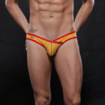REF: WJ-4003-SJ SEXY BIKINI BRIEFS with FASTENERS - Image 16