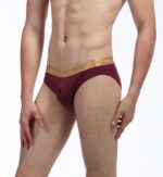 REF: WJ-4011-SJ SEXY BRIEF - BUTTONS